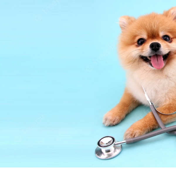 Veterinaria